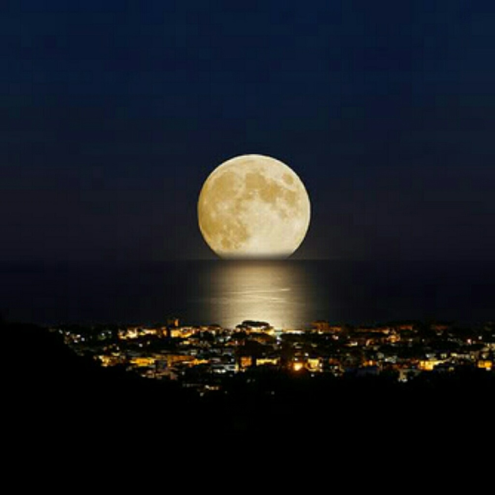 Meet your Posher, Reinard